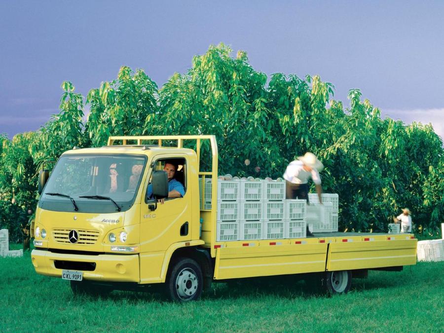  Mercedes-Benz Accelo 915C 2003 года  (фото 2 из 4)